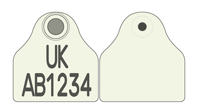 Picture of Scotland Pig Combi 2000® Flag | Layout 2