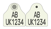 Scotland Pig Combi 2000® Flag | Layout 3