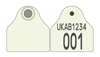 Scotland Pig Combi 2000® Flag | Layout 4