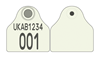 Scotland Pig Combi 2000® Flag | Layout 5