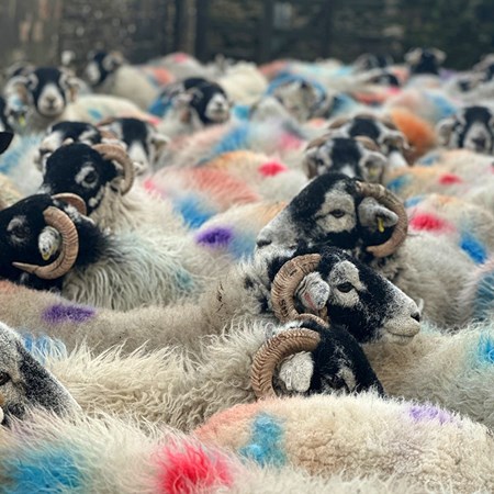 Picture for category Markers