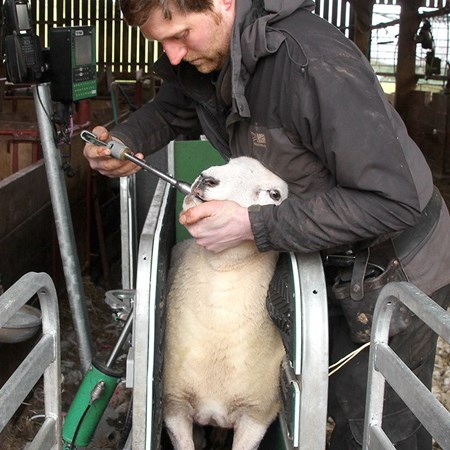 Picture for category Treatment