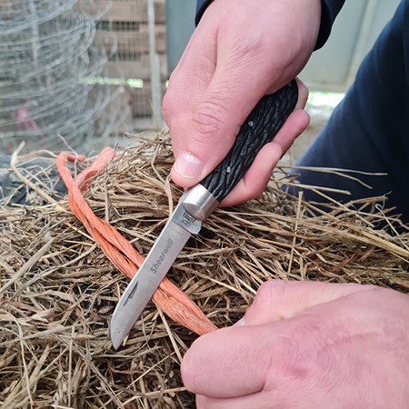 Picture for category Sundries