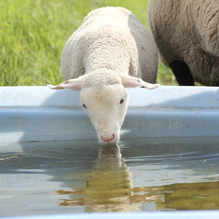 Picture for category Water Fittings