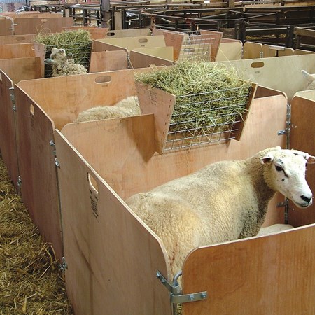 Picture for category Lambing Pens