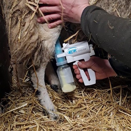 Picture for category Feeding