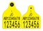 Picture of FOREIGN TAG - NI Cattle Replacement Primary Combi 3000® Large