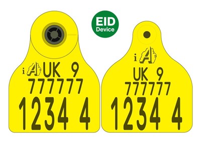 Picture of NI Cattle Replacement Secondary E30 EID Flag