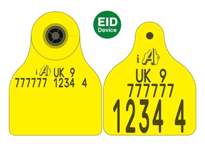 Picture of NI Cattle Replacement Secondary E30 EID Flag with management space