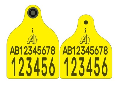 Picture of FOREIGN TAG - NI Cattle Replacement Secondary Combi 3000® Large