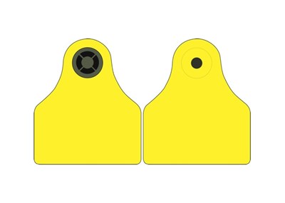 Picture of NI Cattle Combi 3000® Small | Blank Tag